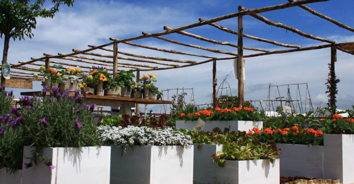 01-artihorti-e1461057141473-1024×534