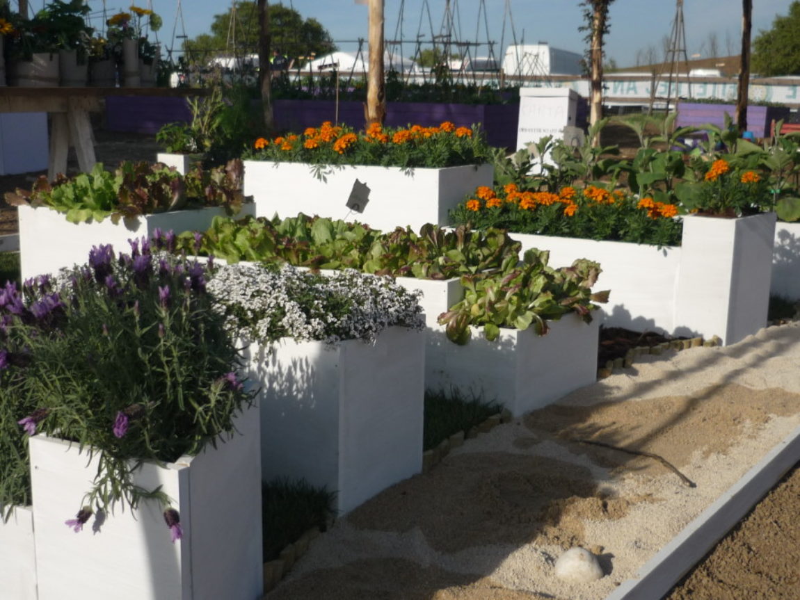 02-artihorti-e1461057540827