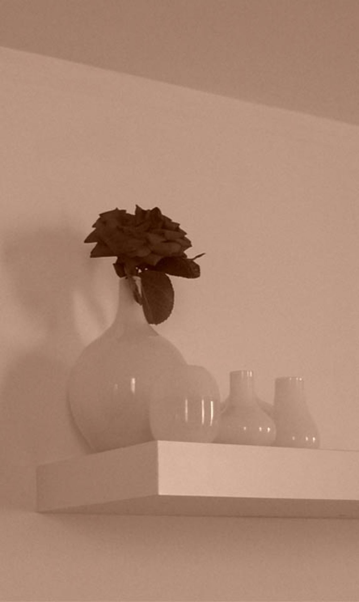 24 gallery progettarelacasa