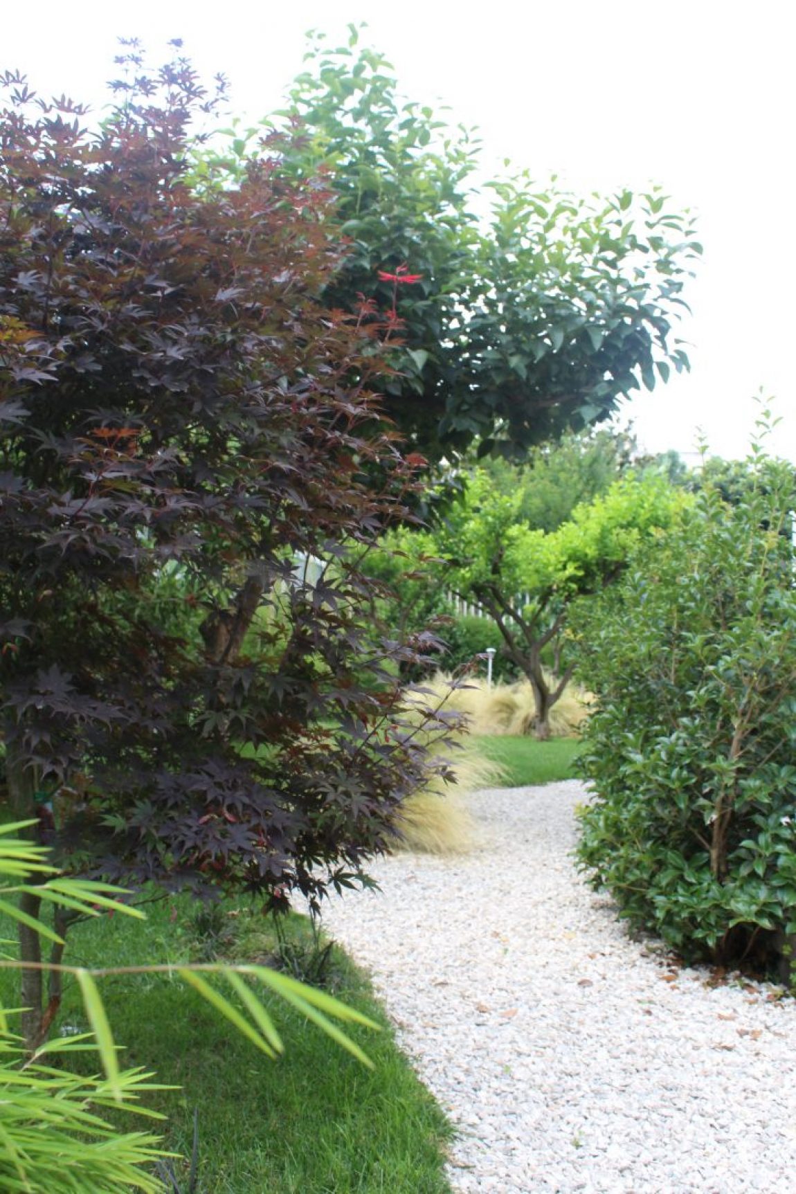 Giardino Giapponese a Roma – Sd Studio ArchitetturaIMG_4788