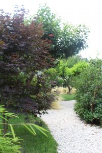Giardino Giapponese a Roma - Sd Studio Architettura