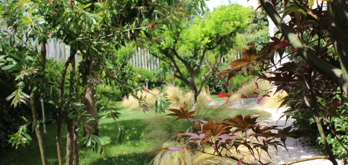 Giardino Giapponese a Roma – Sd Studio ArchitetturaIMG_4793