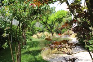 Giardino Giapponese a Roma - Sd Studio Architettura