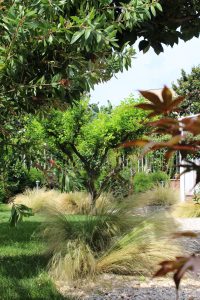 Giardino Giapponese a Roma - Sd Studio Architettura