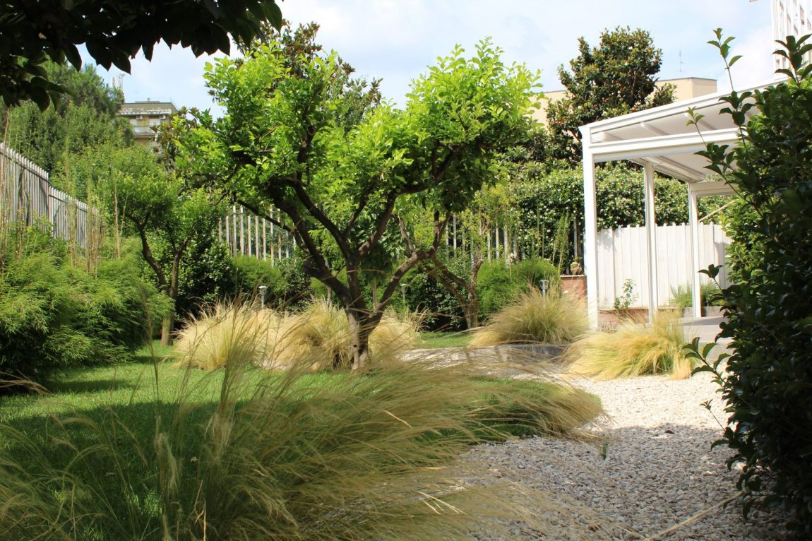 Giardino Giapponese a Roma – Sd Studio ArchitetturaIMG_4801