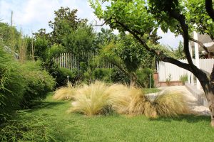Giardino Giapponese Roma SD Studio ArchitetturaI