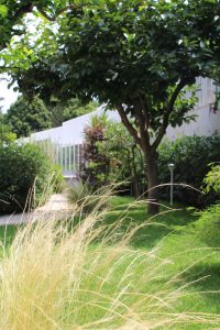 Giardino Giapponese a Roma - Sd Studio Architettura