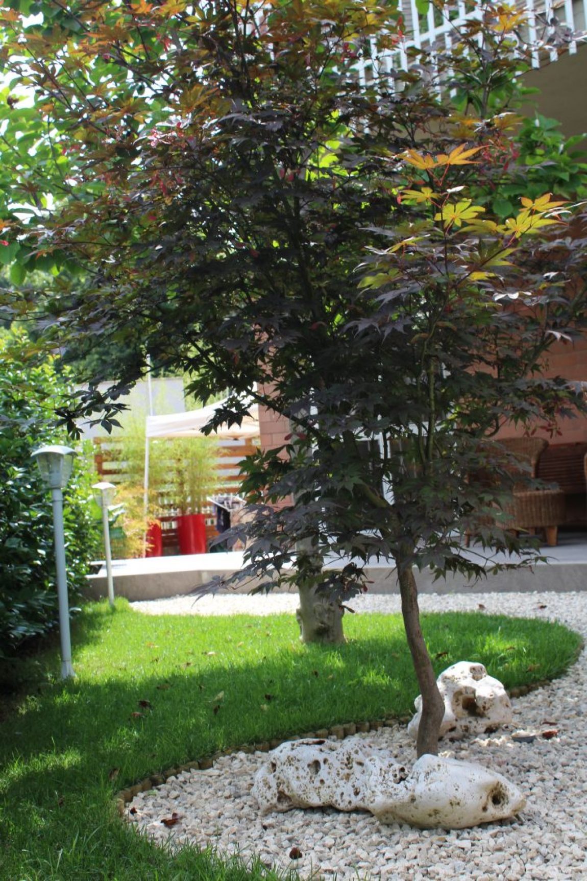 Giardino Giapponese a Roma – Sd Studio Architettura IMG_4828