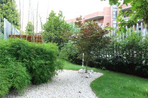 Giardino Giapponese Roma SD Studio ArchitetturaI